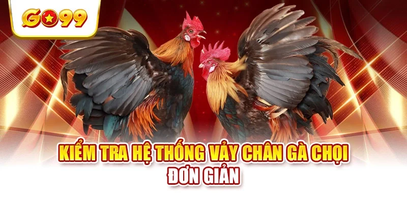 Kiểm tra hệ thống vảy chân gà chọi đơn giản Kiểm tra hệ thống vảy chân gà chọi đơn giản