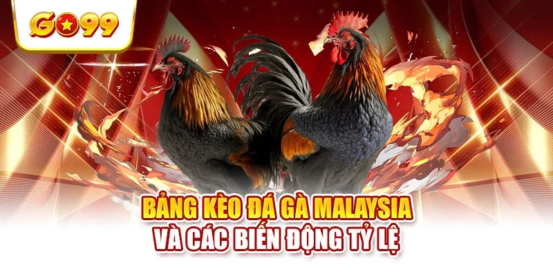 Bảng kèo đá gà Malaysia và các biến động tỷ lệ Bảng kèo đá gà Malaysia và các biến động tỷ lệ