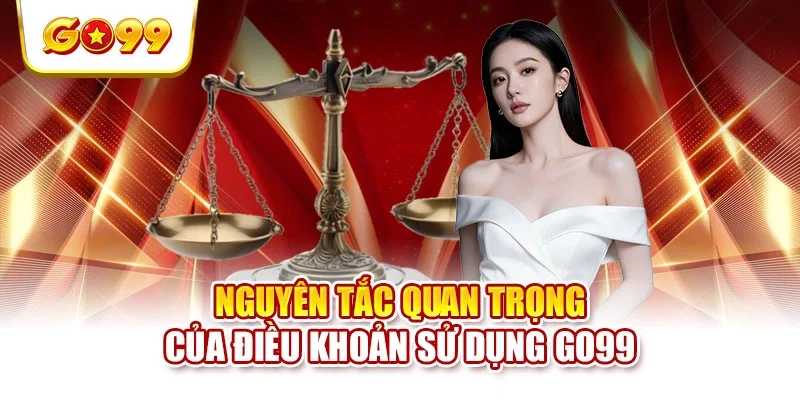 Nguyên tắc quan trọng của điều khoản sử dụng Go99