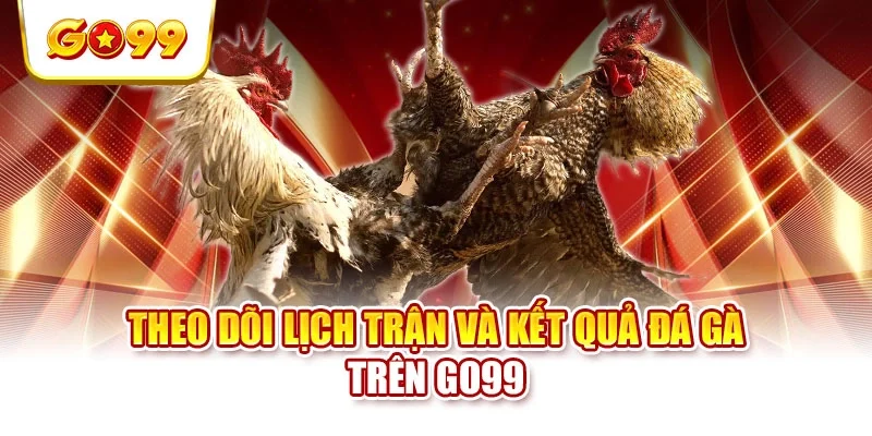 Theo dõi lịch trận và kết quả đá gà trên GO99 Theo dõi lịch trận và kết quả đá gà trên GO99